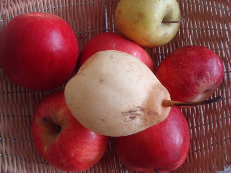 Free stock image of Pear and apples created by Boris Kyurkchiev