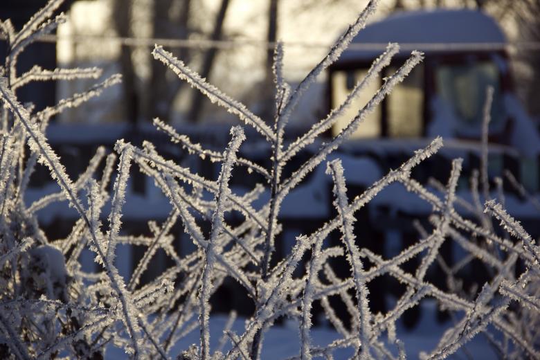 Free stock image of frost created by Alsusha