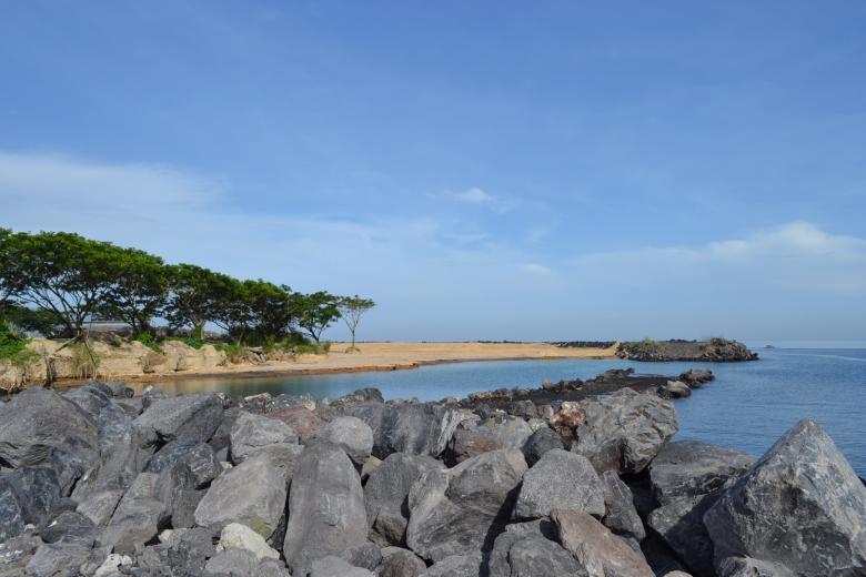 Free stock image of Tree lines at the beach created by Ryan Jhoe