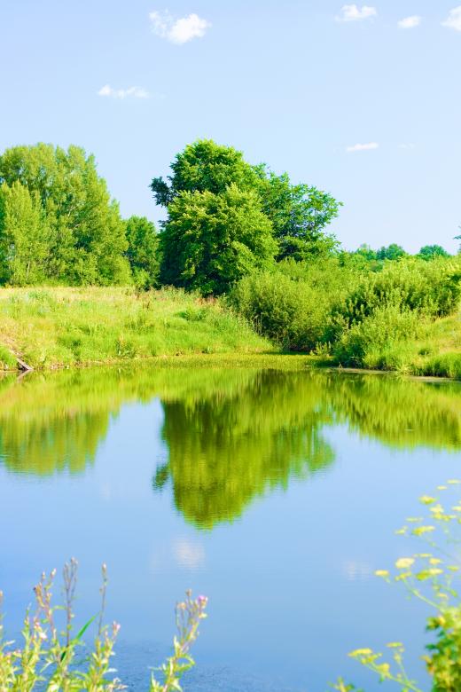 Free stock image of Summer landscape created by 2happy