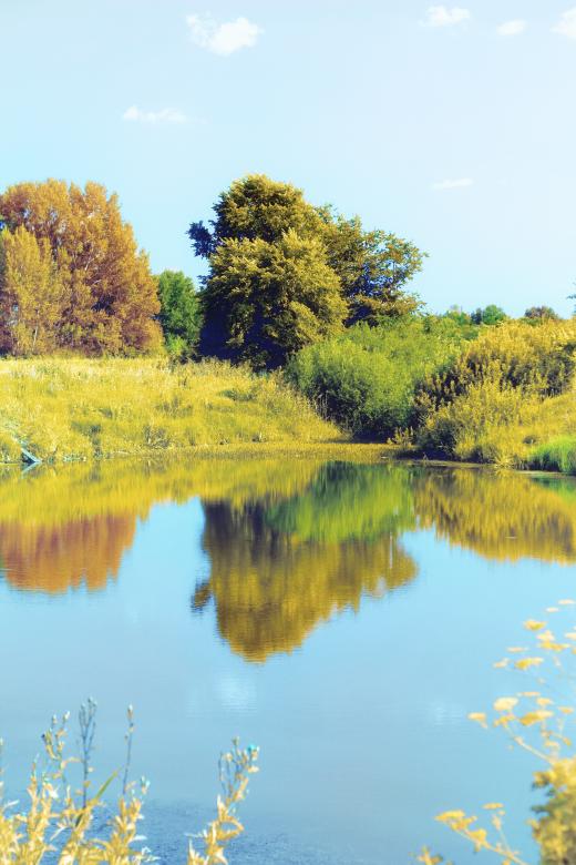 Free stock image of Summer landscape created by 2happy