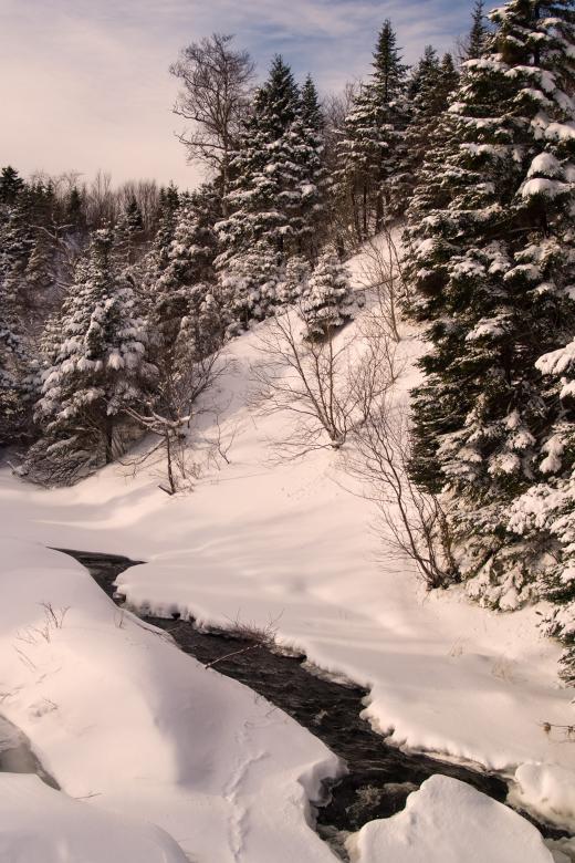 Free stock image of Winter created by Geoffrey Whiteway