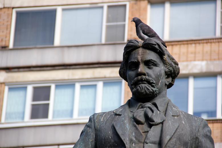 Free stock image of pigeon on statue created by Alsusha