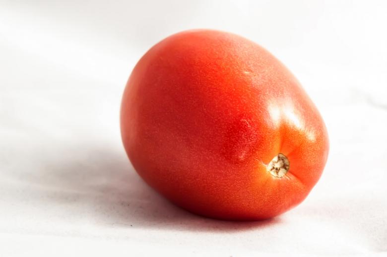 Free stock image of Tomato created by agphotostock.com
