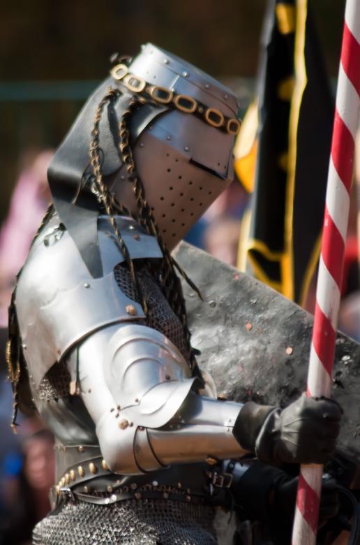 Free stock image of Palace Guard created by agphotostock.com