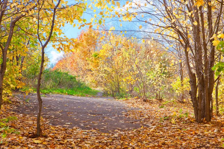 Free stock image of Autumn created by 2happy