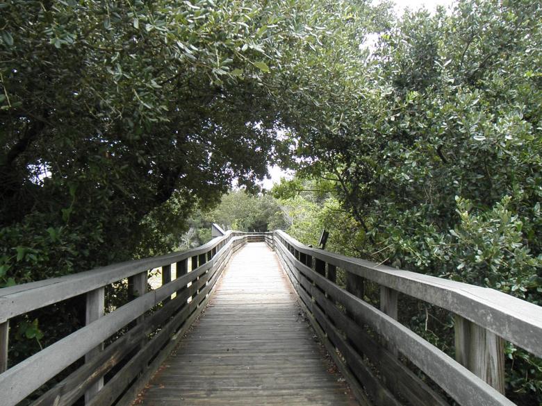 Free stock image of the path ahead created by Samantha S