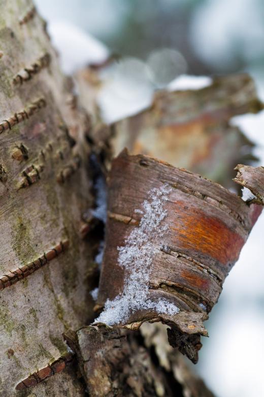 Free stock image of Backgrounds created by Geoffrey Whiteway