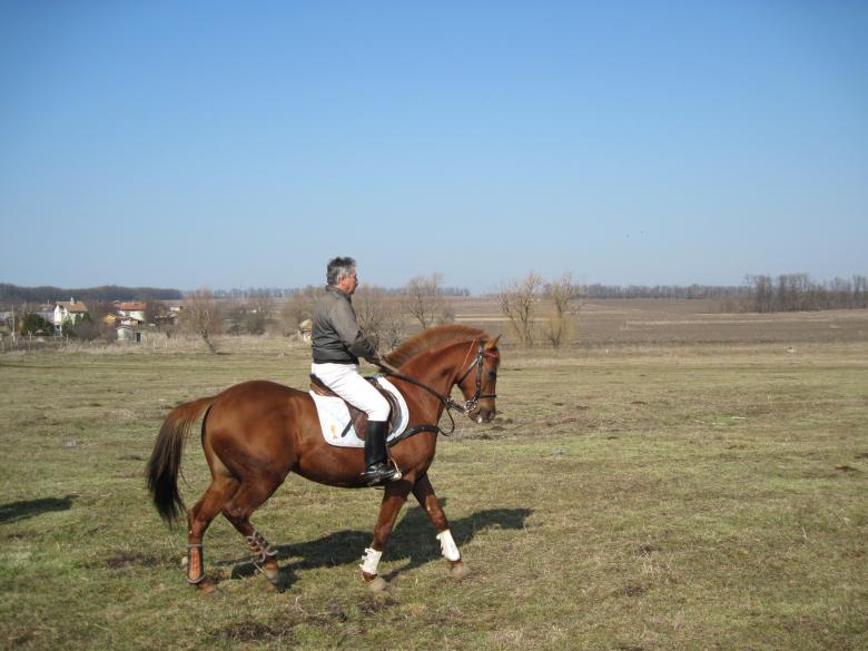 Free stock image of A horse and a jockey created by Boris Kyurkchiev