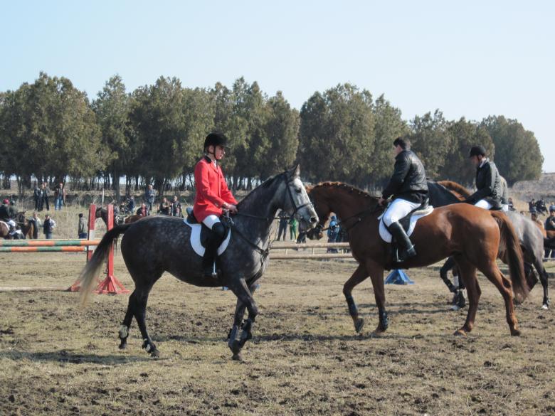 Free stock image of Horses and jockeys created by Boris Kyurkchiev