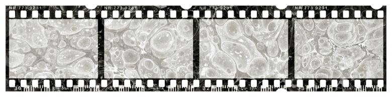 Free stock image of Blank Grunge Film Strip created by Nicolas Raymond
