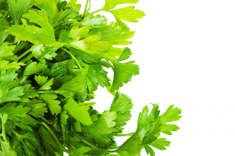 Free stock image of greens created by Valeev