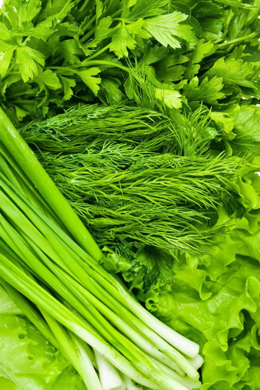 Free stock image of greens created by Valeev