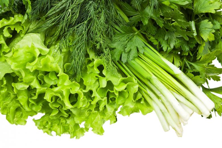 Free stock image of greens created by Valeev