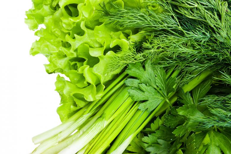 Free stock image of greens created by Valeev