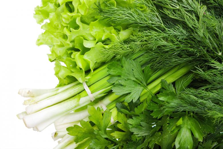 Free stock image of Salad and Greens created by Valeev