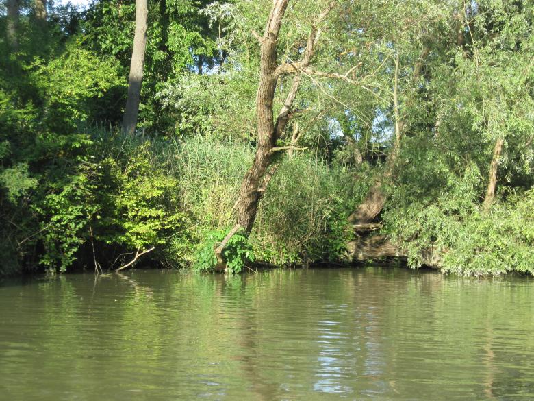 Free stock image of Riverside view created by Boris Kyurkchiev