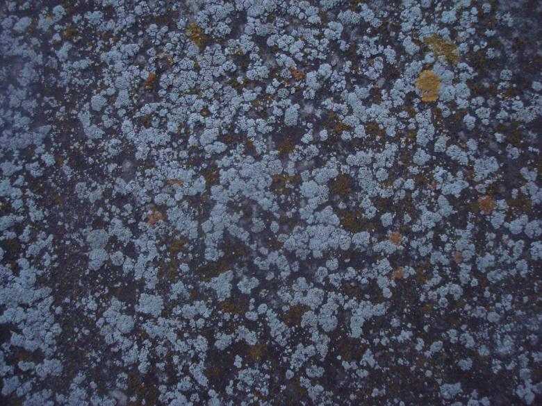 Free stock image of Grunge stone texture created by Boris Kyurkchiev