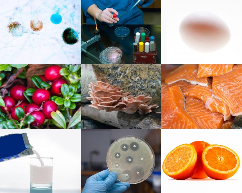 Free stock image of Food Safety created by Geoffrey Whiteway