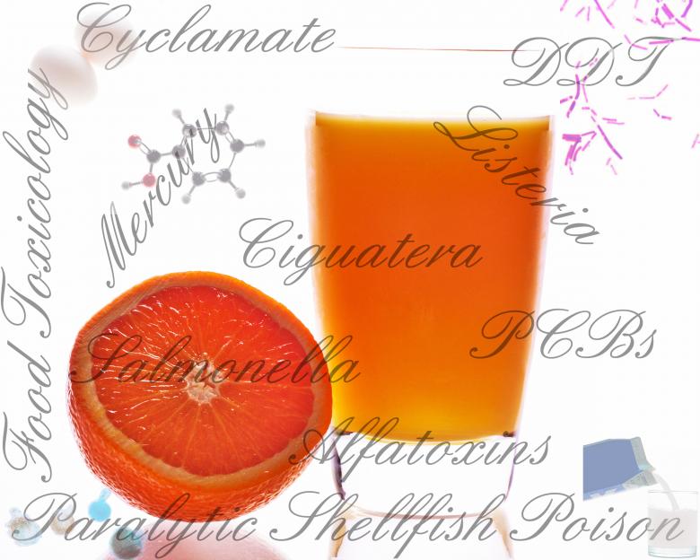 Free stock image of Food Safety created by Geoffrey Whiteway