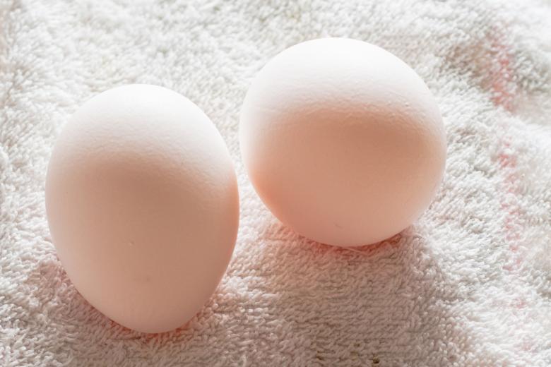 Free stock image of Egg created by Geoffrey Whiteway