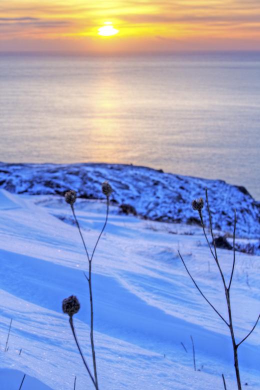 Free stock image of Winter created by Geoffrey Whiteway