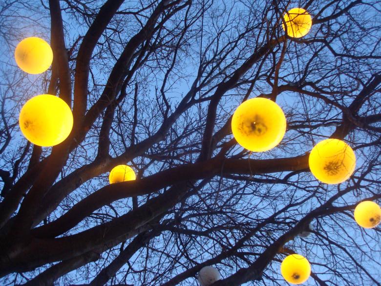 Free stock image of Lamps on a tree created by Boris Kyurkchiev