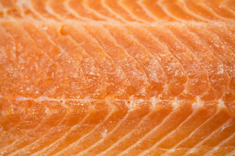 Free stock image of Salmon created by Geoffrey Whiteway