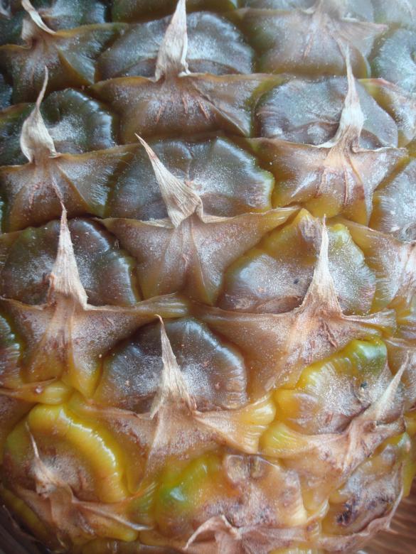 Free stock image of Pineapple peel texture created by Boris Kyurkchiev