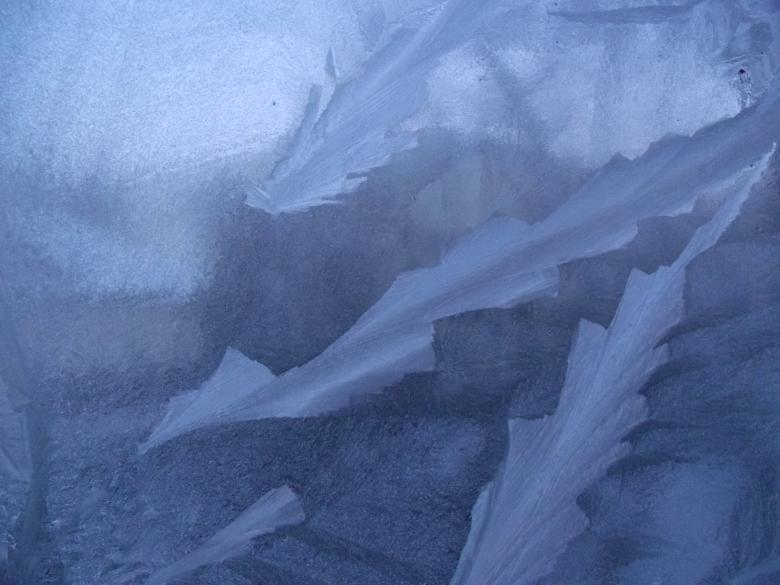 Free stock image of Ice flower on the window  created by Janis Urtans