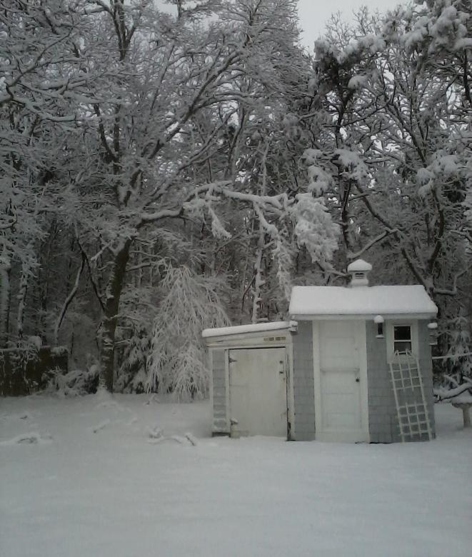 Free stock image of Shed in Snow created by Katharine Sparrow
