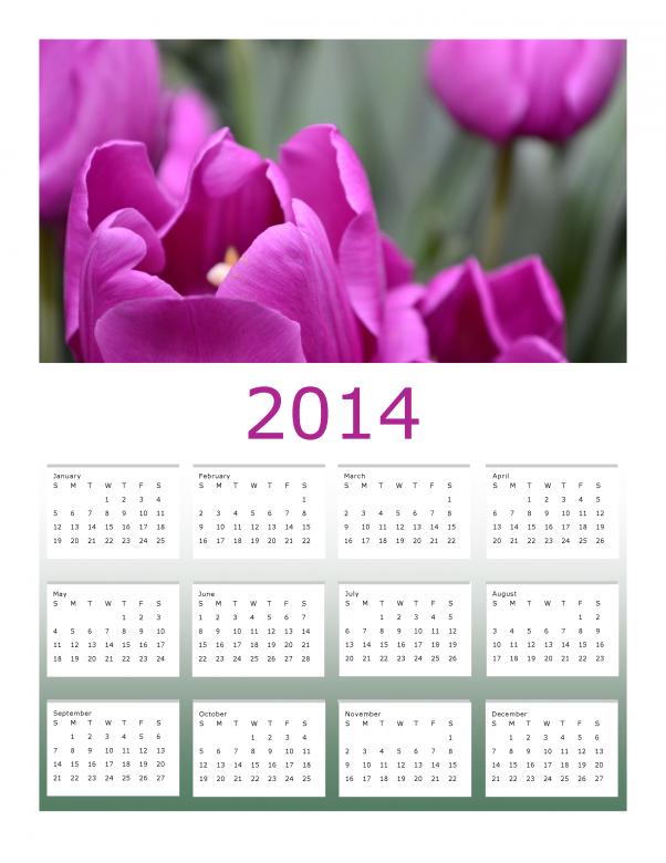 Free stock image of Purple Tulips 2014 Calendar created by Katrena Patterson