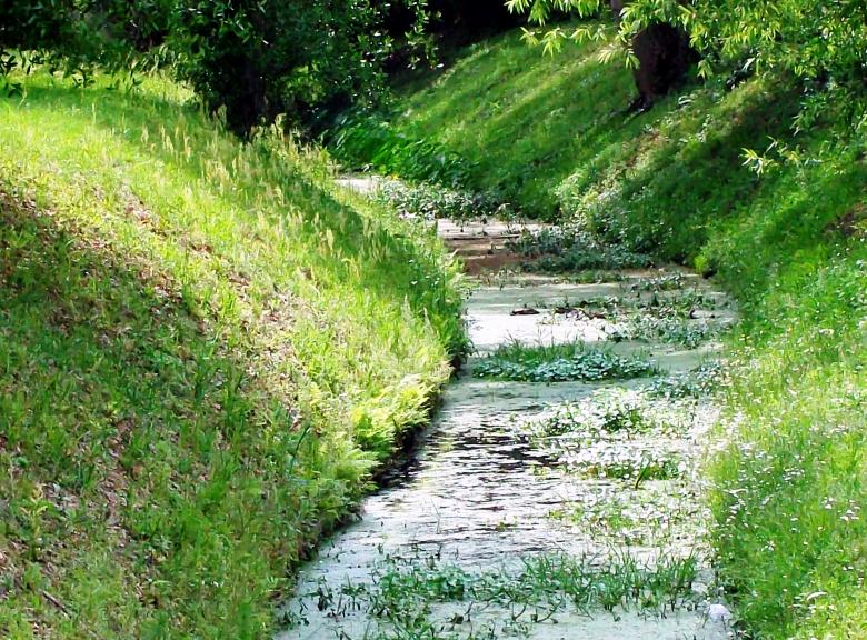 Free stock image of Drainage Ditch created by David Witts