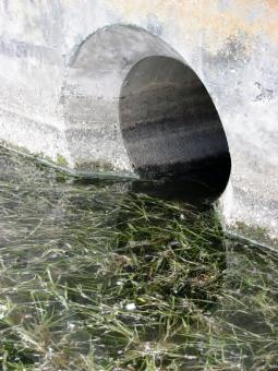 Lake Drain - Free Stock Photo