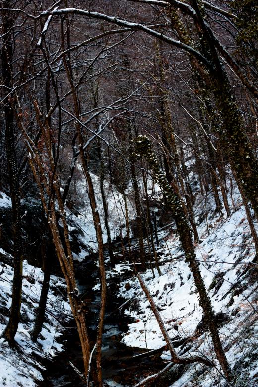 Free stock image of Creek in the winter created by Alen