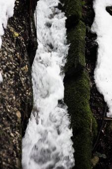 Free Stock Photo of Winter creek