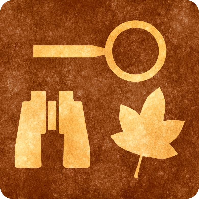 Free stock image of Sepia Grunge Sign - Nature Study Area created by Nicolas Raymond