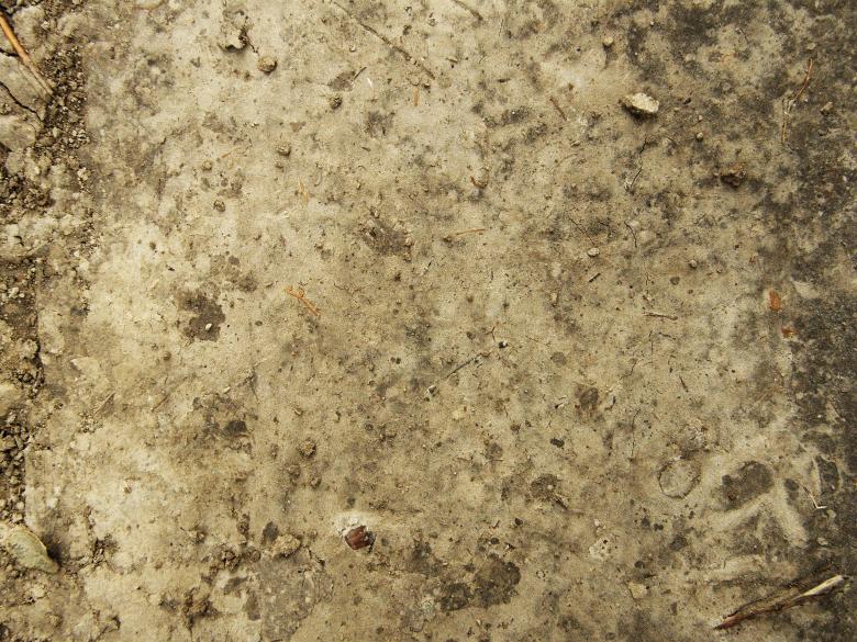 Free stock image of Dirt Texture created by Free Texture Friday