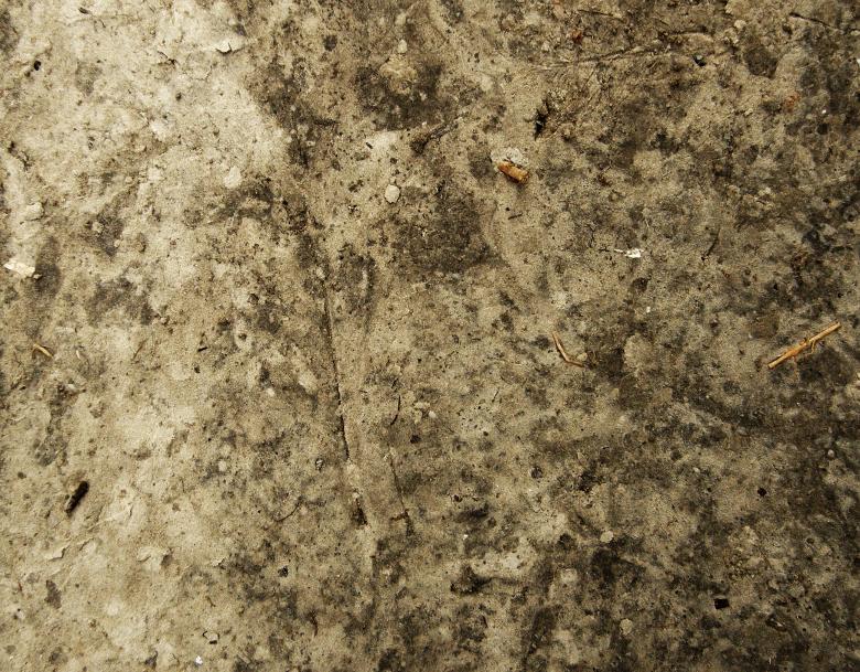 Free stock image of Dirt Texture created by Free Texture Friday