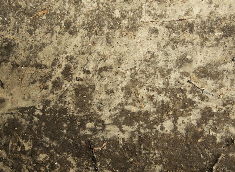 Free stock image of Dirt Texture created by Free Texture Friday