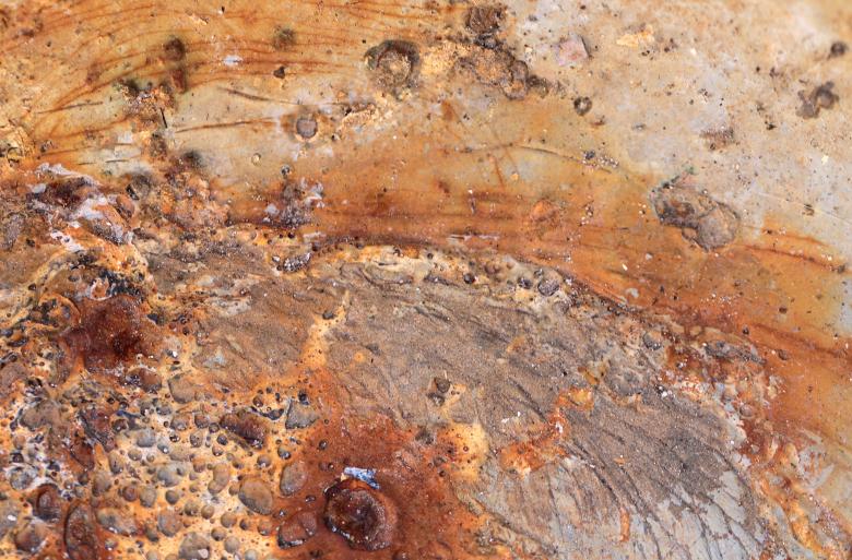 Free stock image of Grunge Rust created by Free Texture Friday