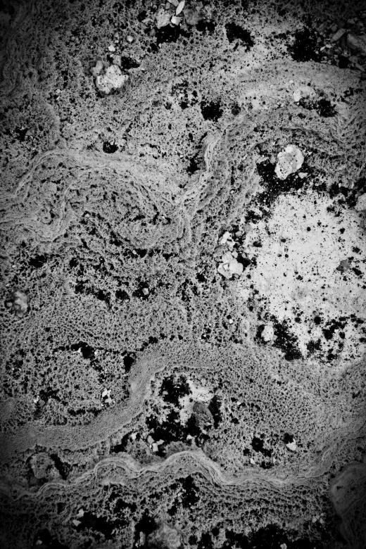Free stock image of Dry Geothermal Mud Texture created by Free Texture Friday