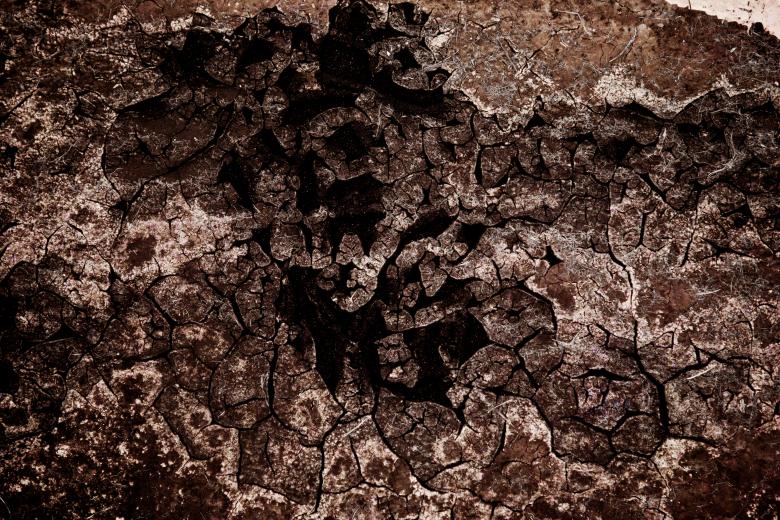 Free stock image of Cracked Mud Texture created by Free Texture Friday