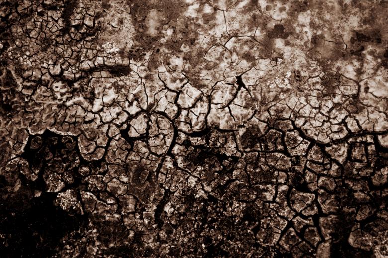 Free stock image of Cracked Mud Texture created by Free Texture Friday