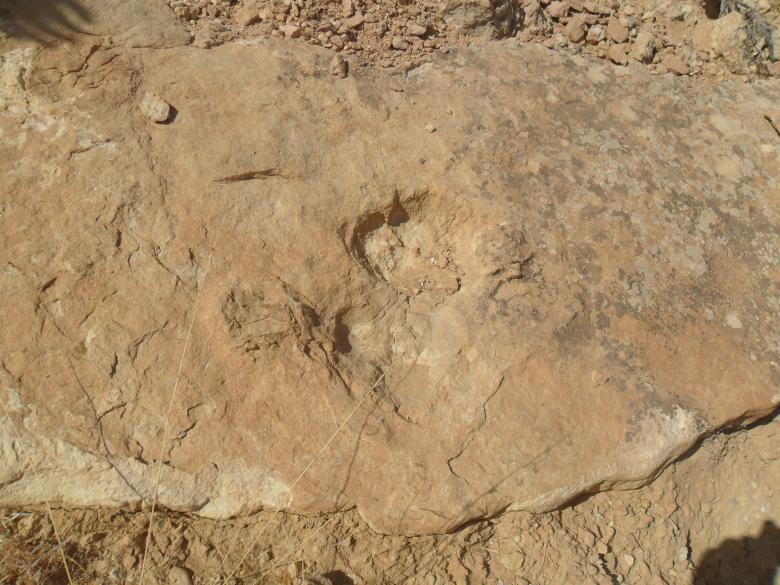 Free stock image of Rocky Texture created by Ghomrasseni