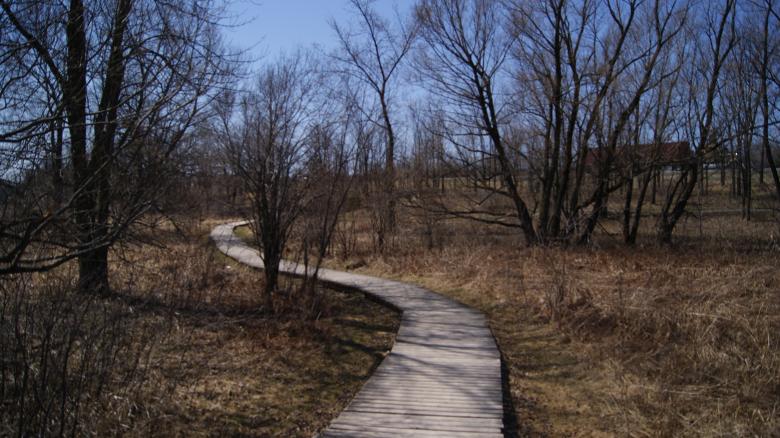 Free stock image of Park Route created by Wasim Baobaid