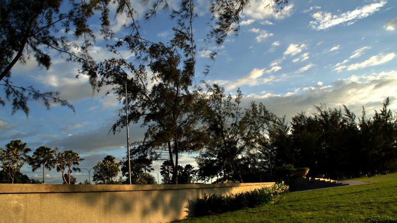 Free stock image of Trees and Sky created by Reynold