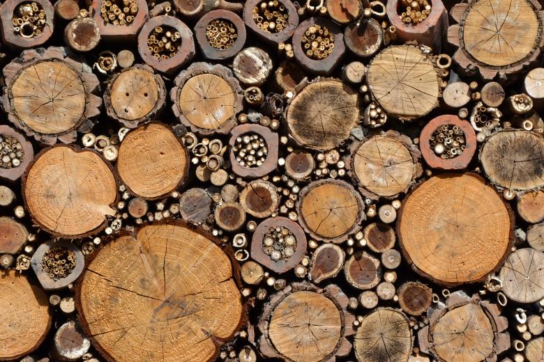 Free stock image of Bug house created by Tomas Adomaitis