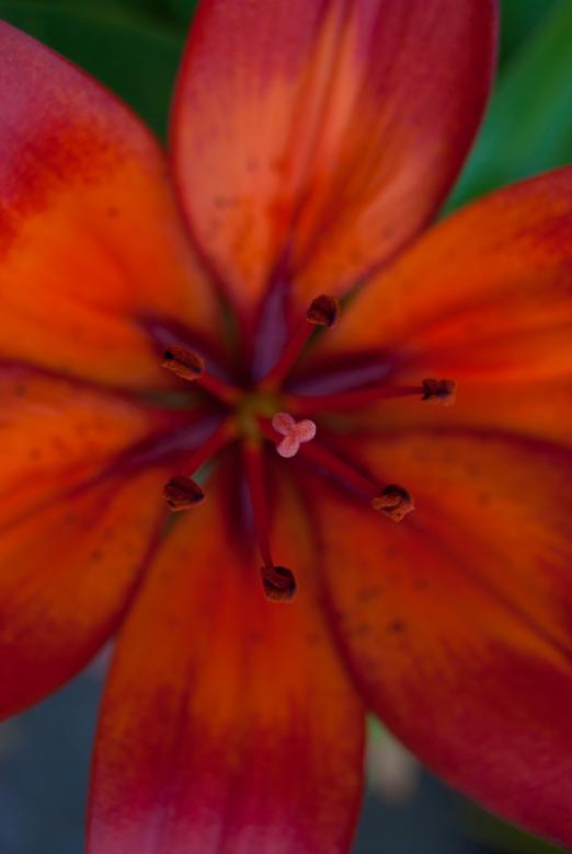 Free stock image of Focus created by Charl Christiani