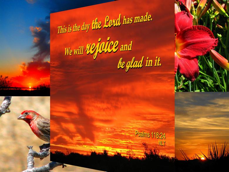 Free stock image of Rejoice, Be Glad created by DFNatureAwed